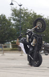 Harley Sportster 04+ Front Cage